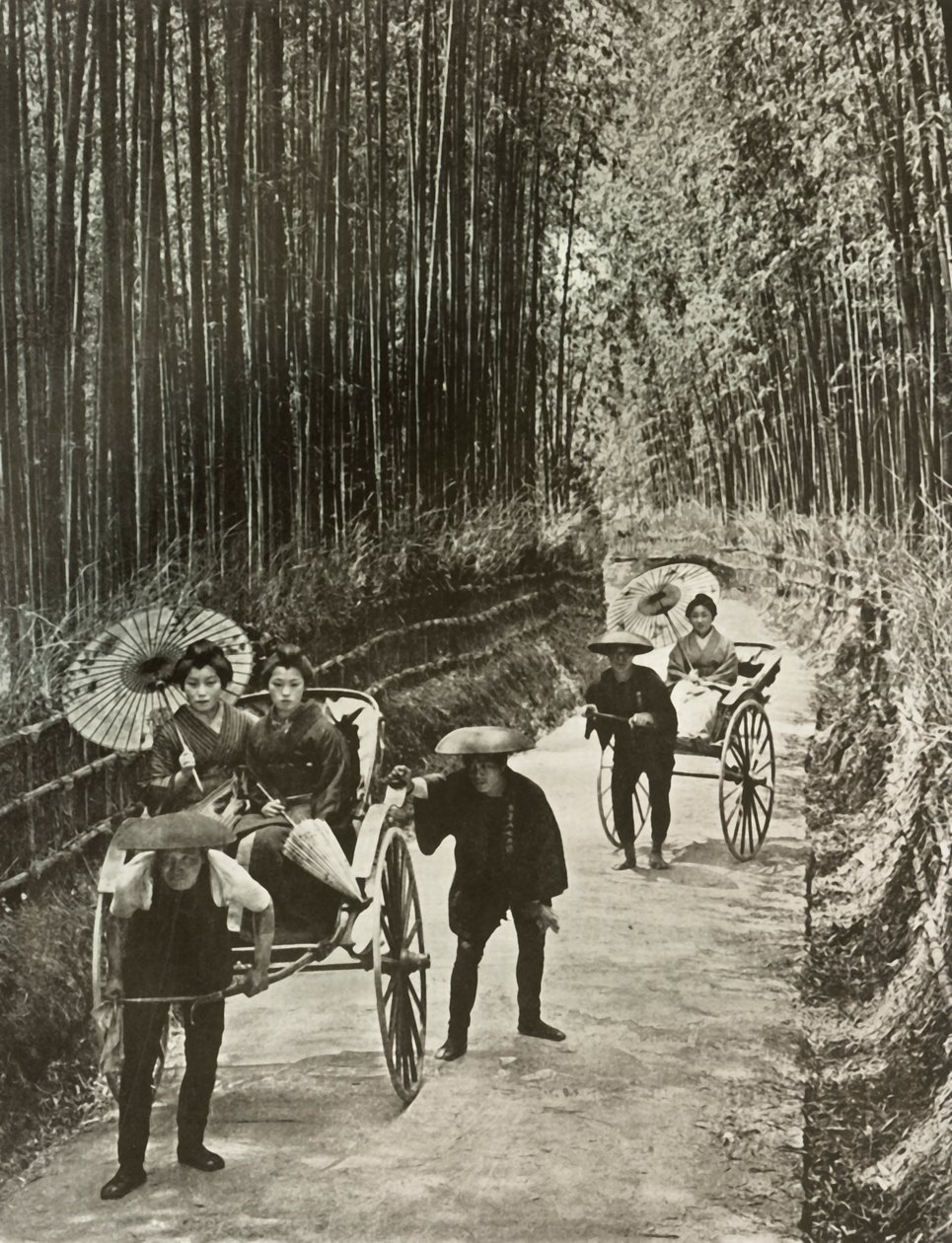 Egy Bamboo Avenue Kiotóban, 1910. alkotó: Herbert Ponting