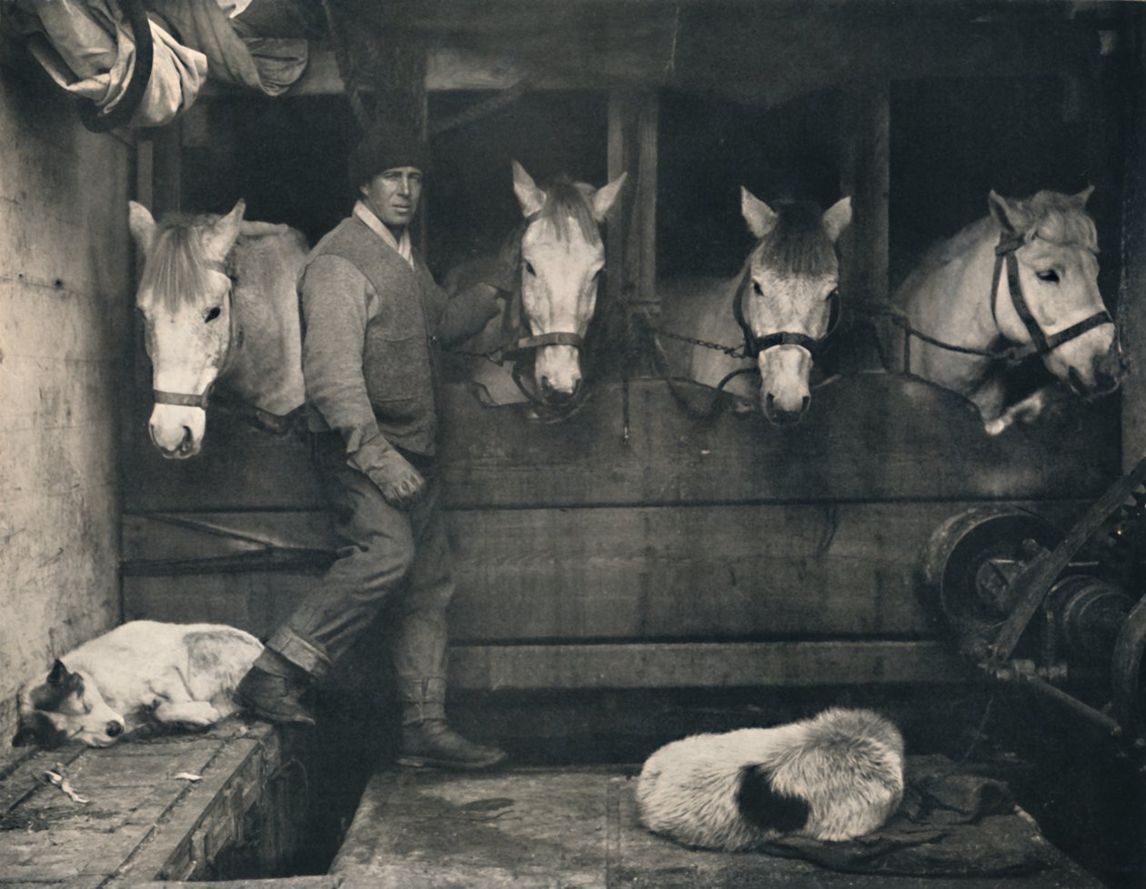 Oates kapitány, a Terra Nován a szibériai pónikkal, c1911, 1914. alkotó: Herbert Ponting