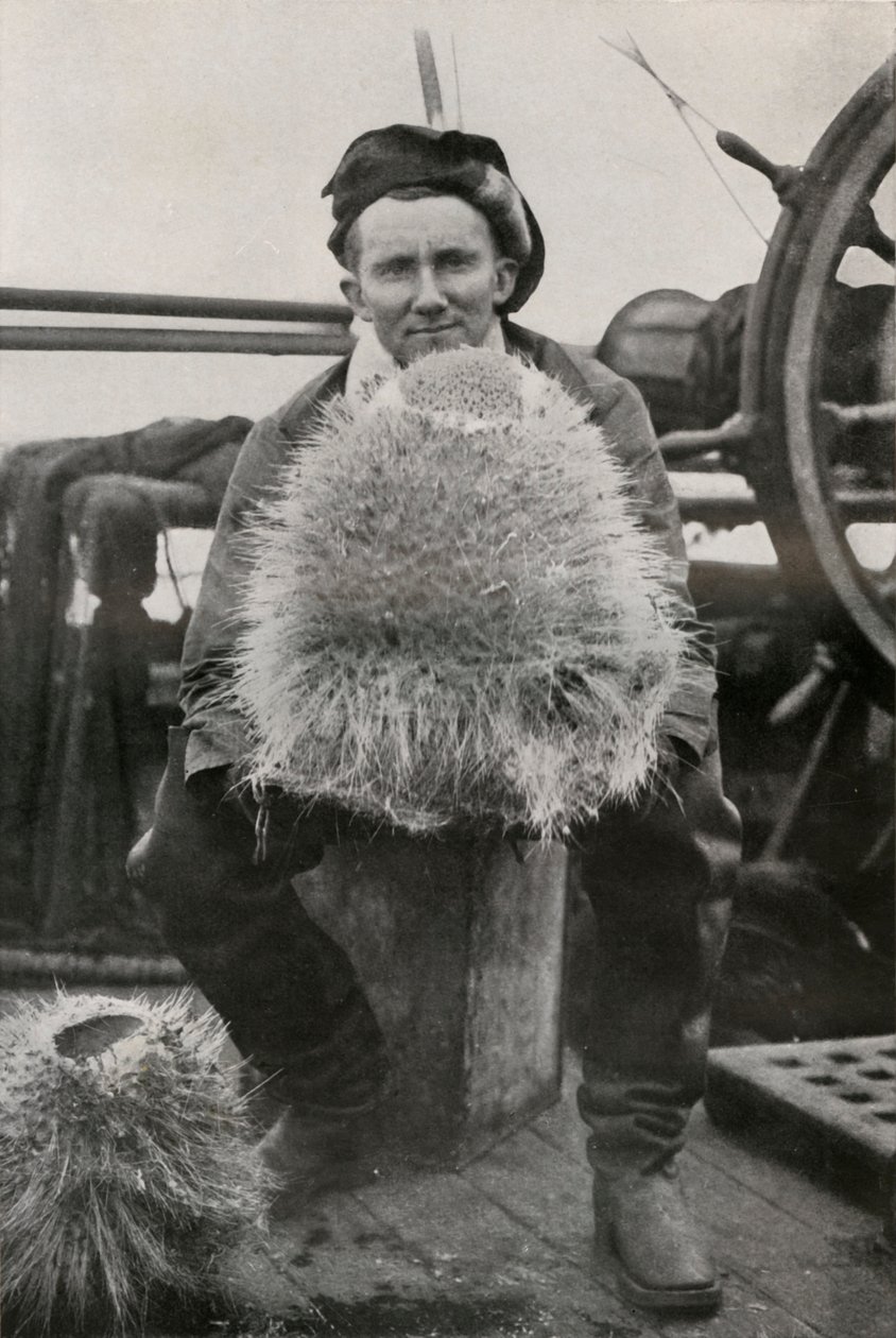 D. G. Lillie, néhány szilíciumtartalmú szivaccsal, c1911, 1913 alkotó: Herbert Ponting