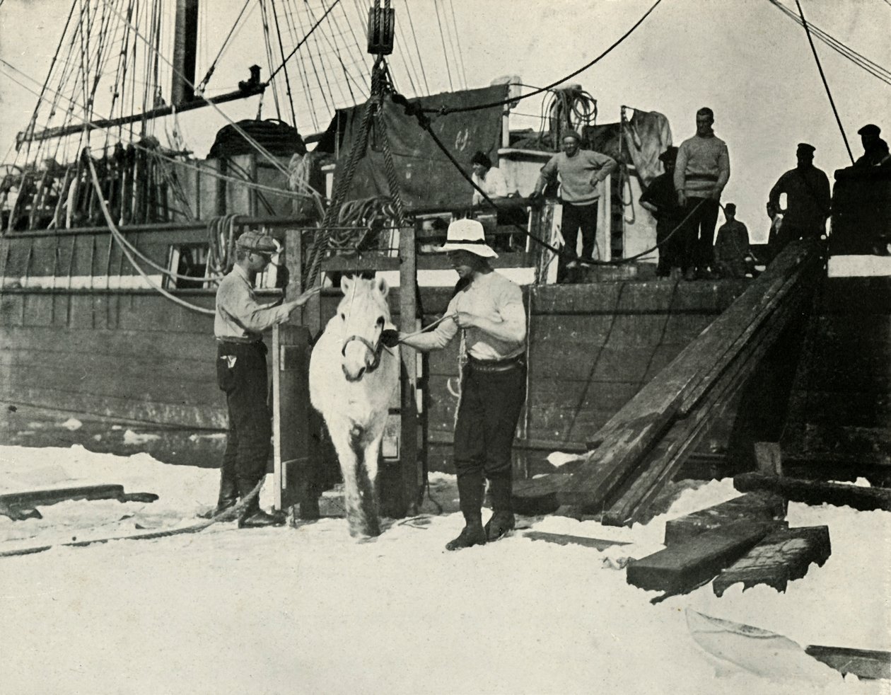 A pónik partraszállása, c19101913, 1913 alkotó: Herbert Ponting