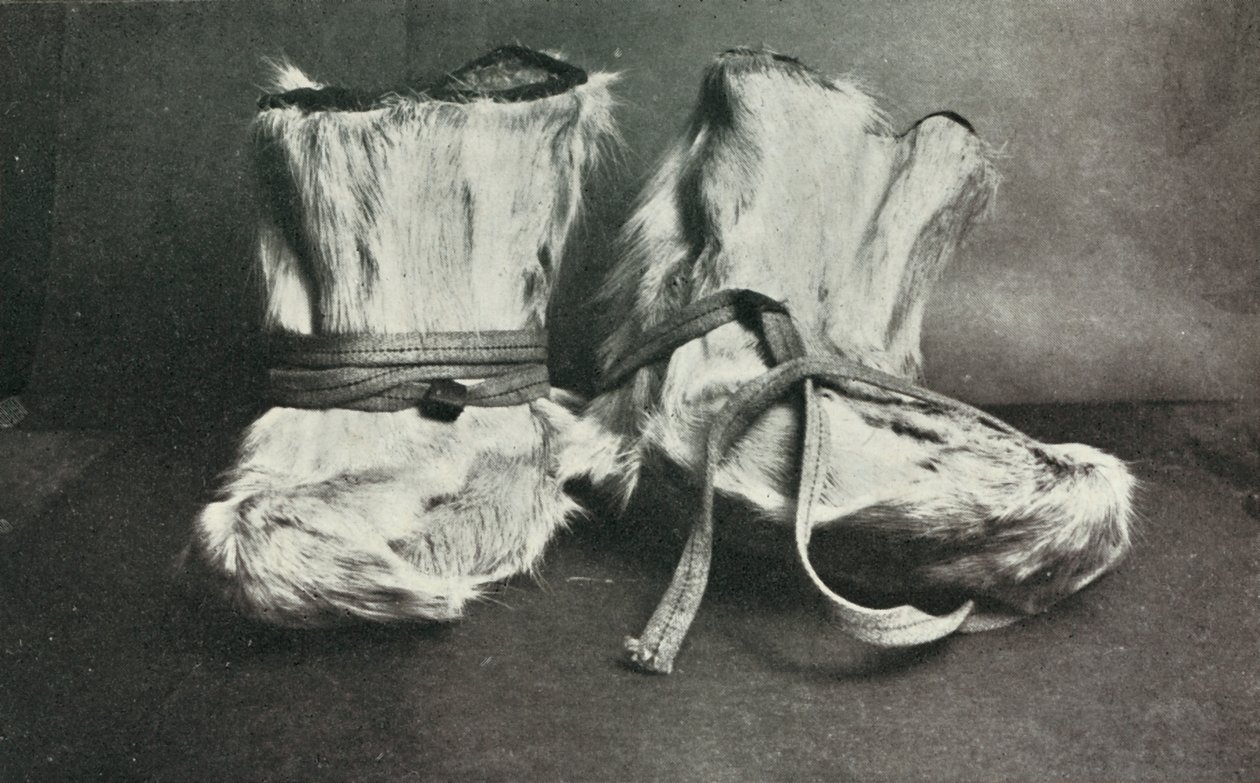 Finnesko, c19101913, 1913. alkotó: Herbert Ponting