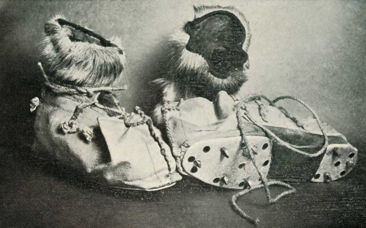 Finnesko görcsökkel, c19101913, 1913 alkotó: Herbert Ponting