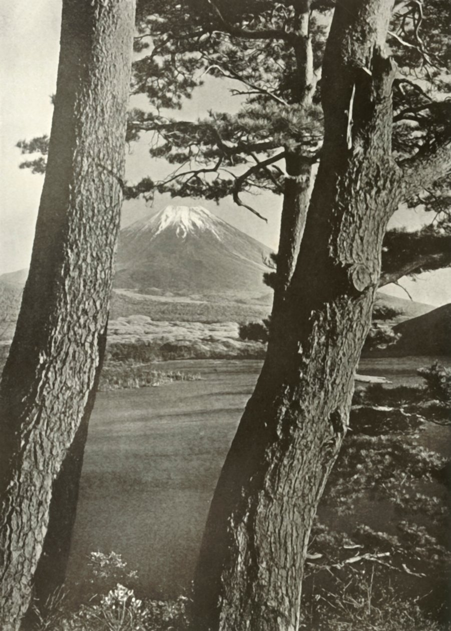 Fuji a Motosu-tó fenyőin keresztül, 1910. alkotó: Herbert Ponting