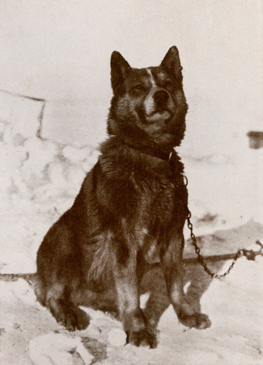 Krisravica, 19101913, 1913 alkotó: Herbert Ponting