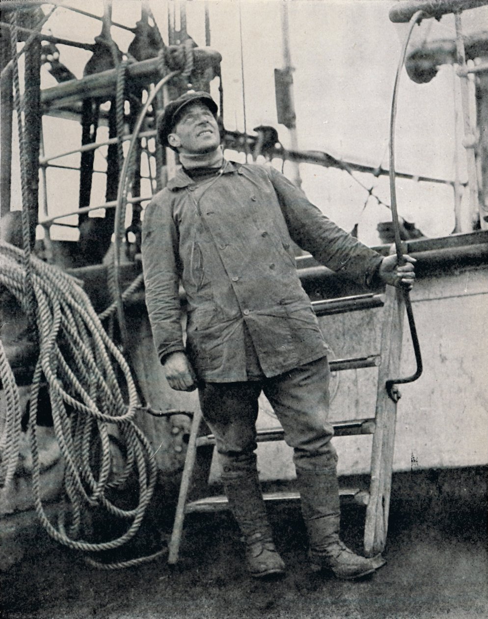 hadnagy Bruce, 1911, 1913 alkotó: Herbert Ponting