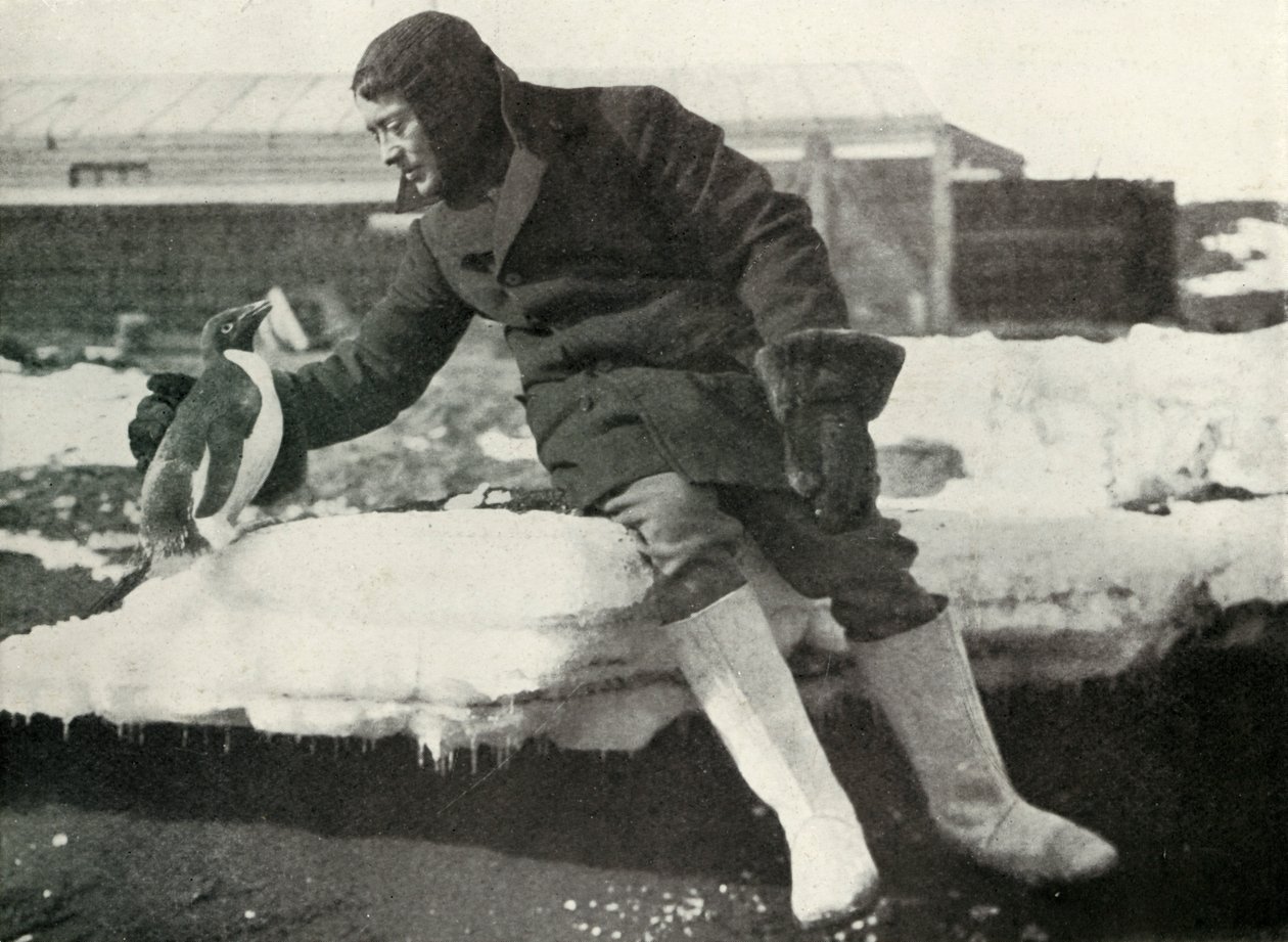 hadnagy Rennick és egy barátságos pingvin, 1911, 1913 alkotó: Herbert Ponting