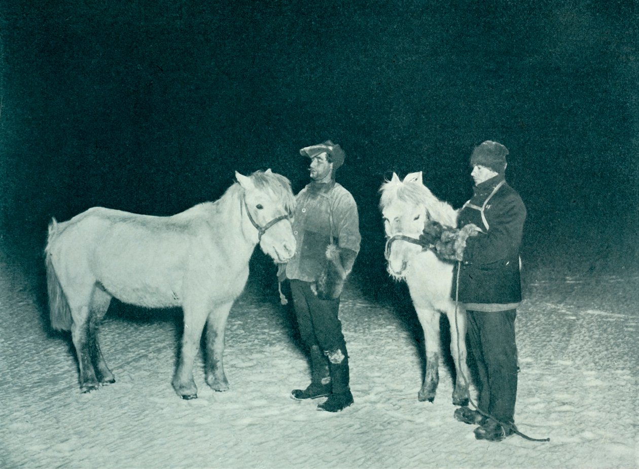 Crean és Evans tisztek pónigyakorlatát télen, 1911, 1913 alkotó: Herbert Ponting