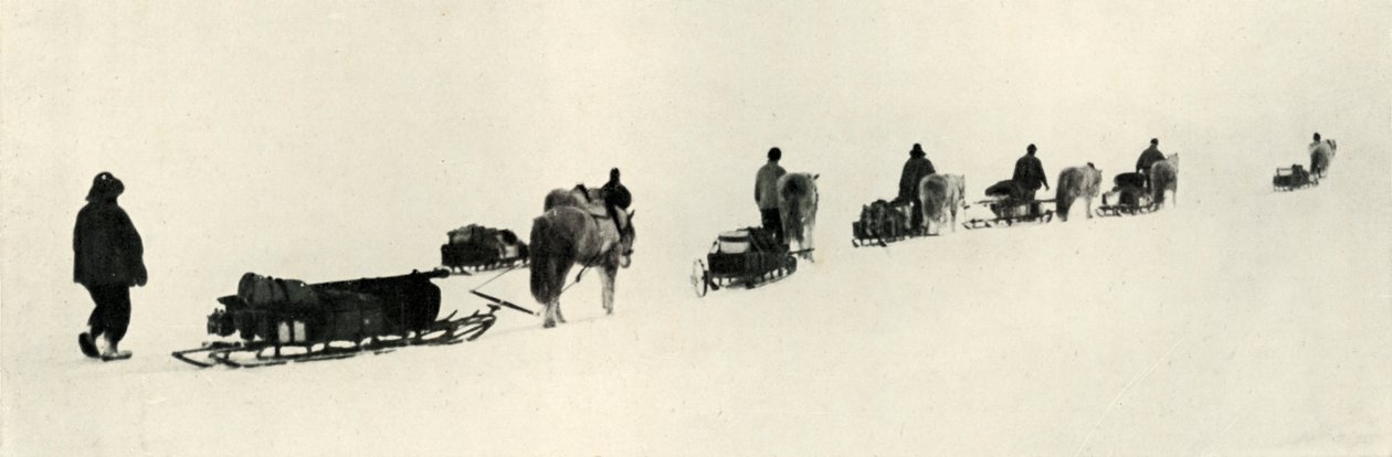 Pónik az 1911-es, 1913-as márciuson alkotó: Herbert Ponting