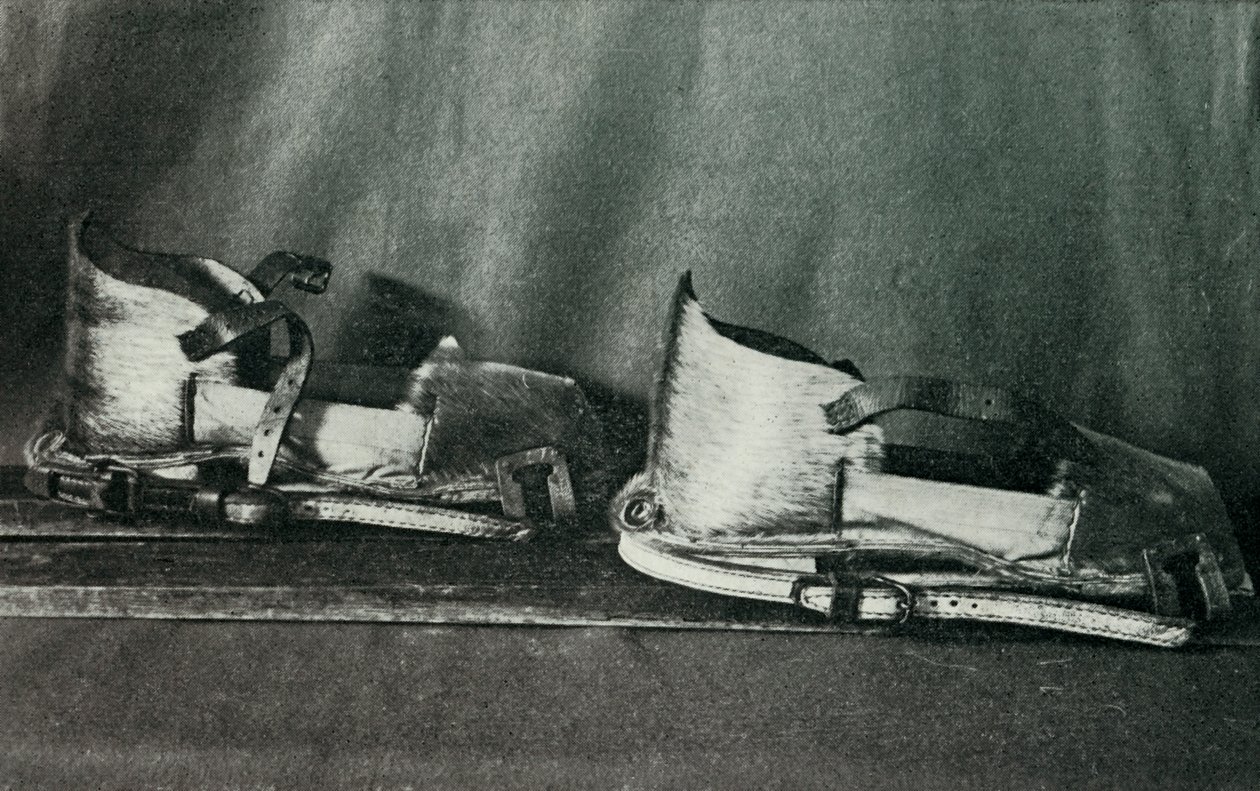 Sícipők Finneskohoz, c19101913, 1913 alkotó: Herbert Ponting