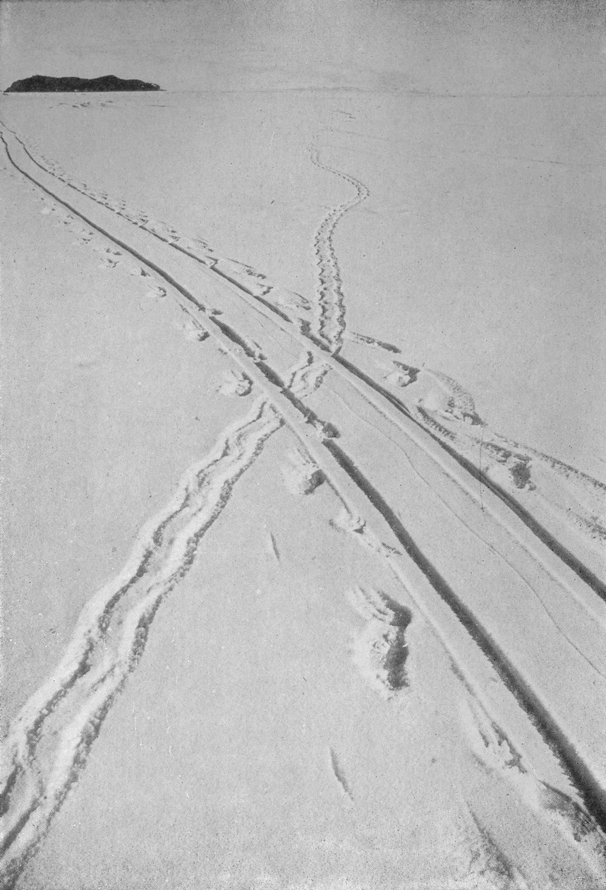 Szánkópálya kereszteződés az Adélie Penguins pályán, 1911. december 8., 1913 alkotó: Herbert Ponting