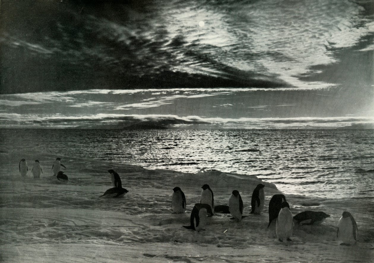 Az éjféli nap McMurdo Soundban, c19101913, 1913 alkotó: Herbert Ponting