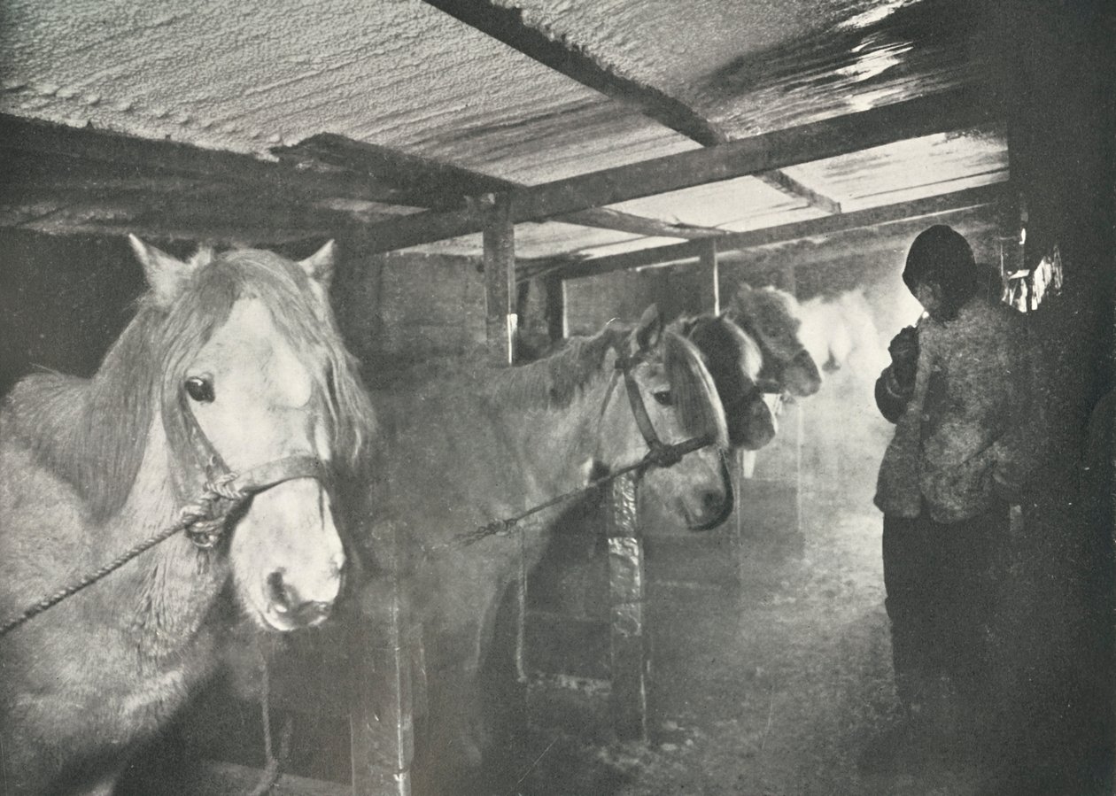 Az istállók télen, c19101911, 1913 alkotó: Herbert Ponting