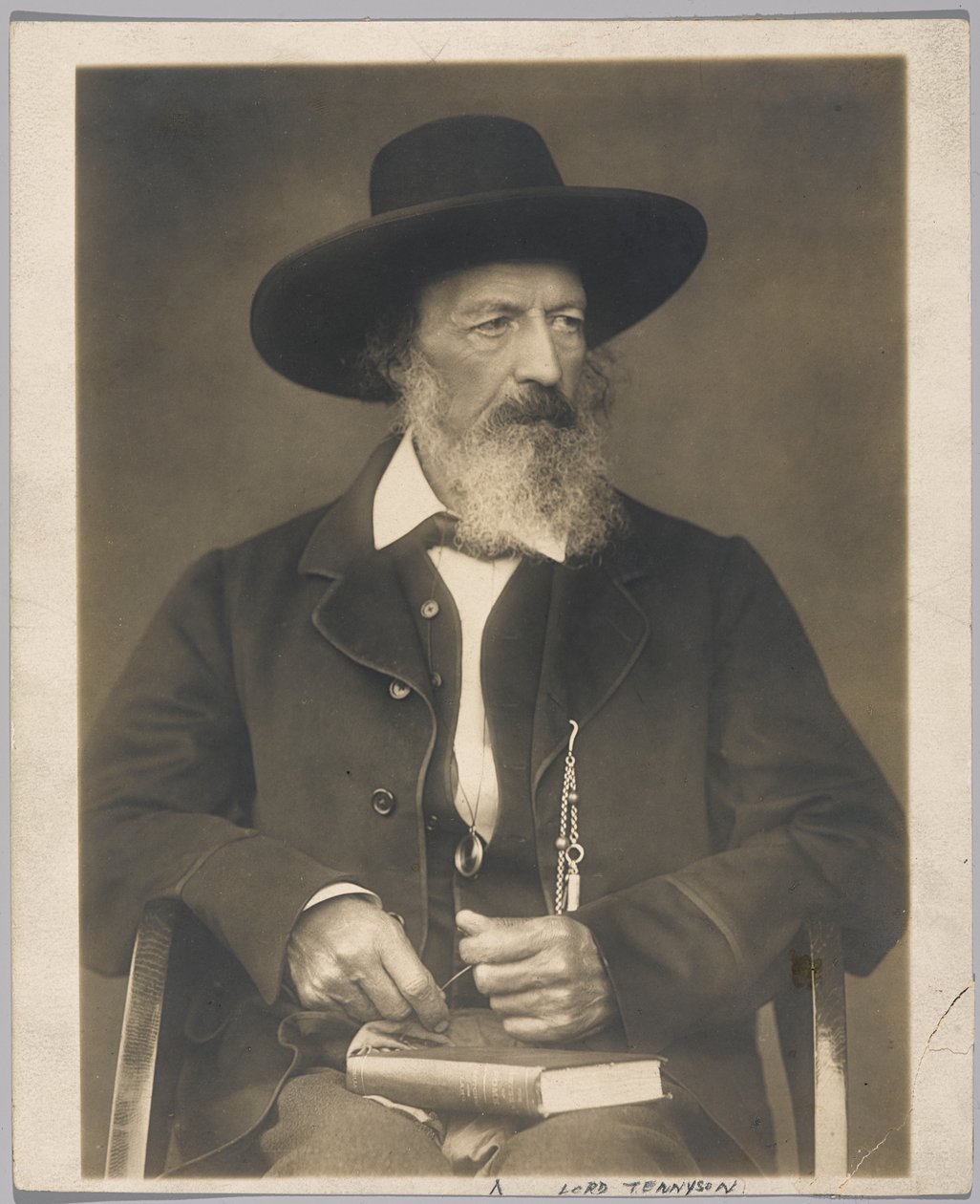 Lord Tennyson (zselatin ezüst fotó) alkotó: Herbert Rose Barraud
