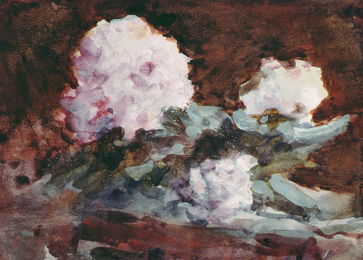 Rhododendron (akvarell) alkotó: Hercules Brabazon Brabazon