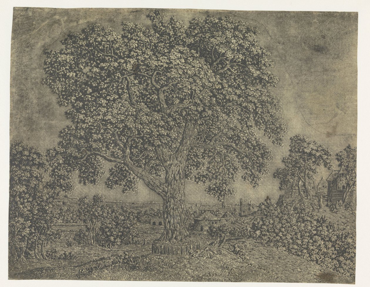 A nagy fa alkotó: Hercules Segers