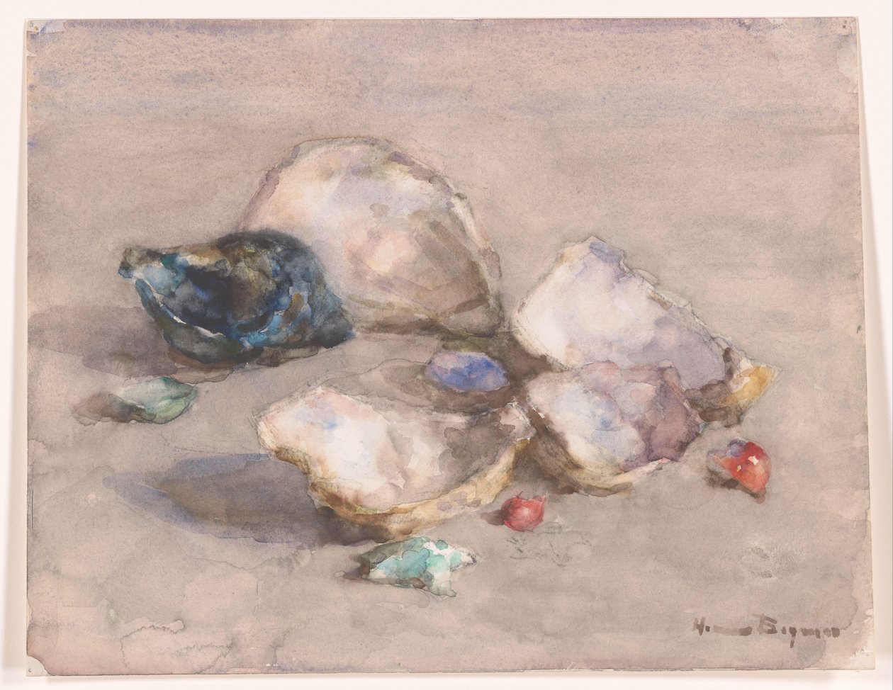 Kagylók a tengerparton alkotó: Herman Bogman (signed by artist)