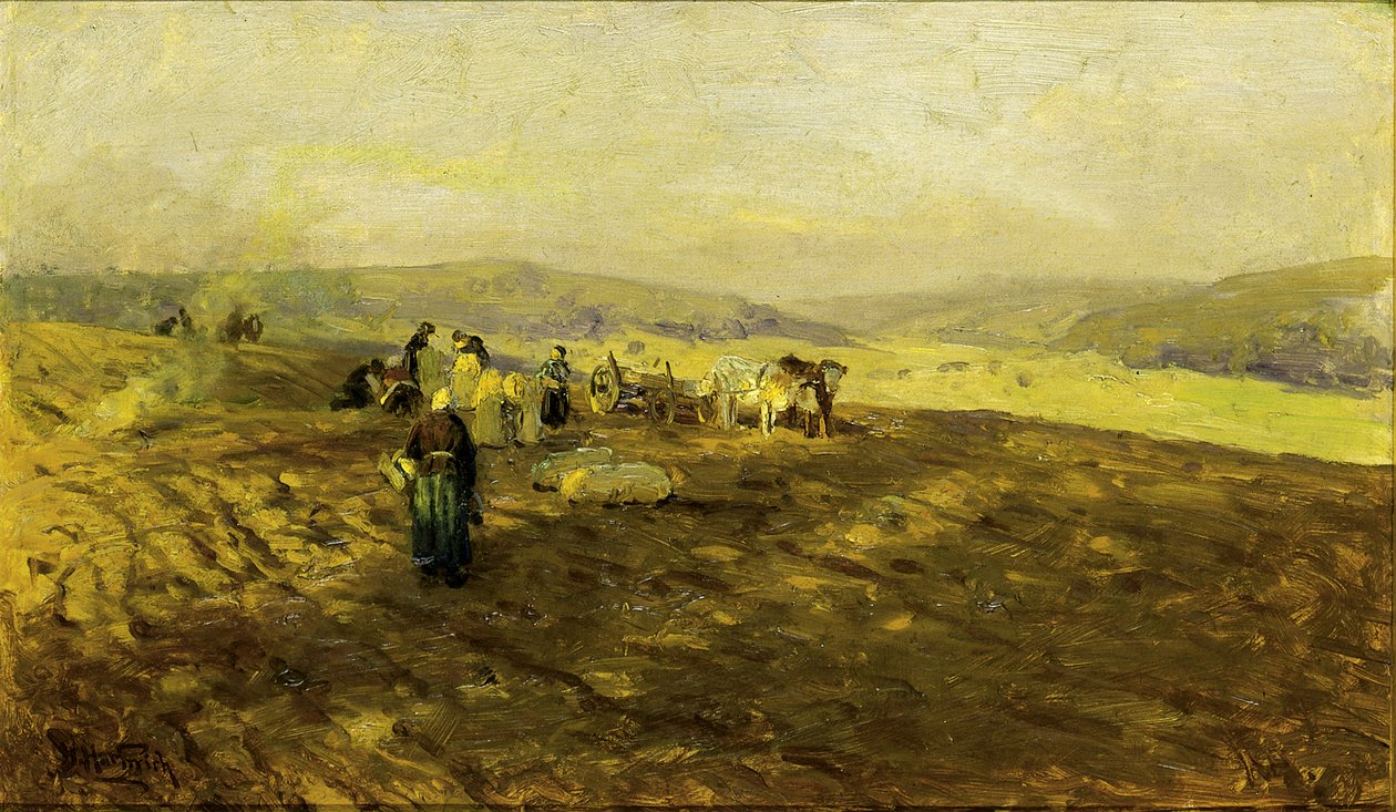 Burgonyavágók, n.d. alkotó: Herman Hartwich