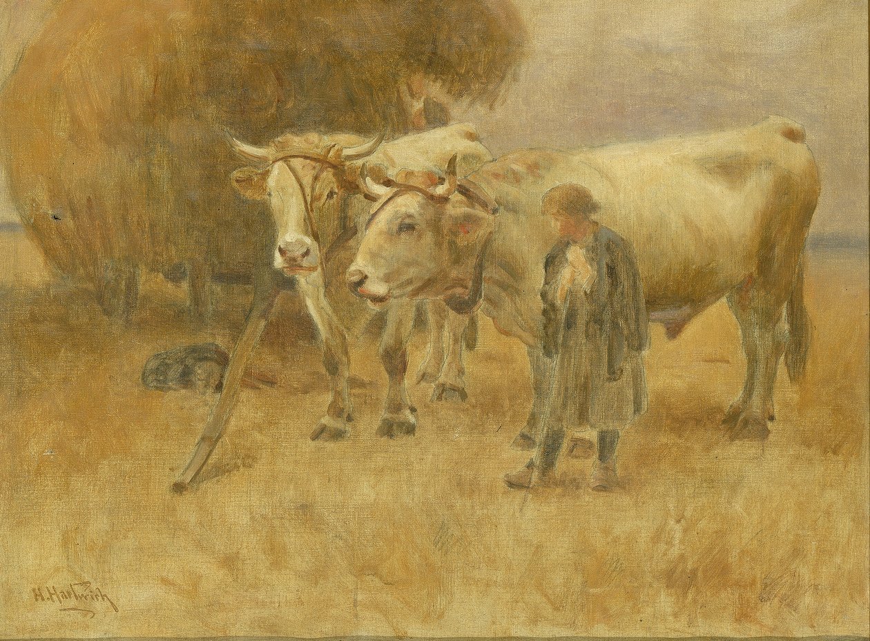 Vázlat az aratógépekhez, 1907. alkotó: Herman Hartwich