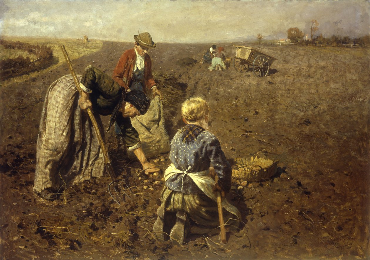 A burgonyaszüret alkotó: Herman Hartwich