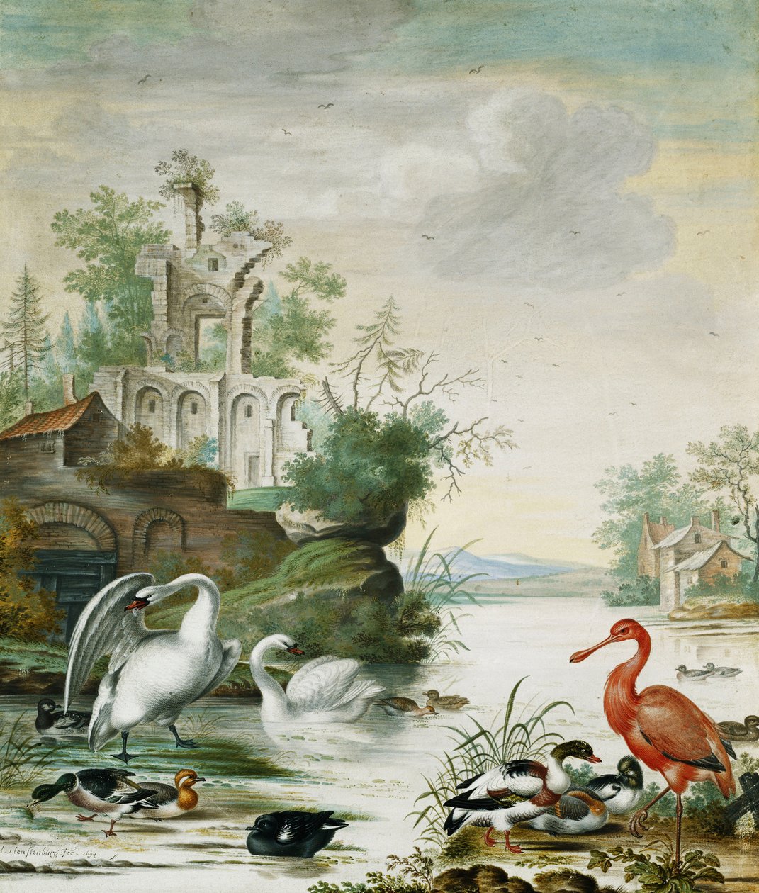 Hattyúk, kanalasgém, tőkés réce, Wigeon és más kacsák a folyón a romok alatt, 1694 alkotó: Herman Henstenburgh