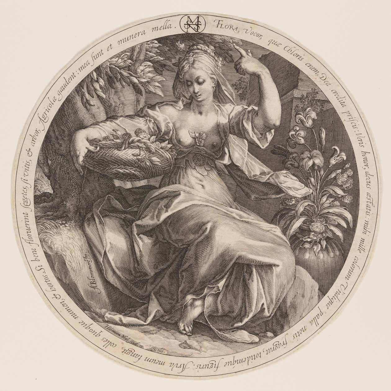 Flora alkotó: Herman Jansz. Muller