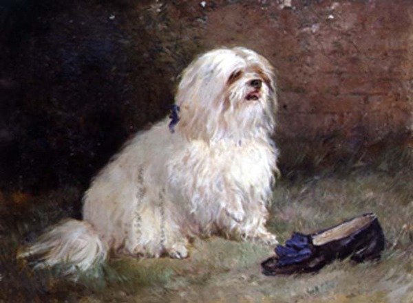 Egy máltai terrier alkotó: Heywood Hardy