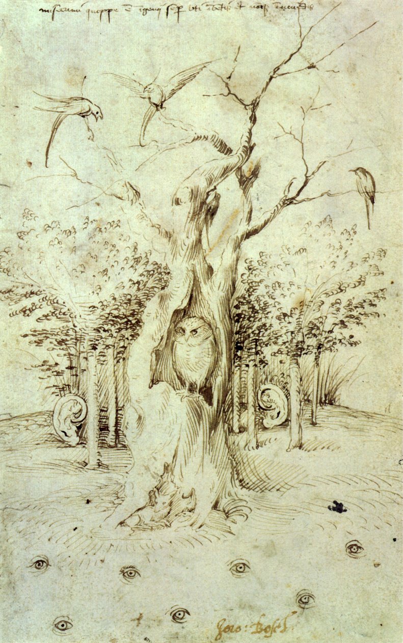 Az erdő, amely hall, és a mező, amely lát alkotó: Hieronymus Bosch