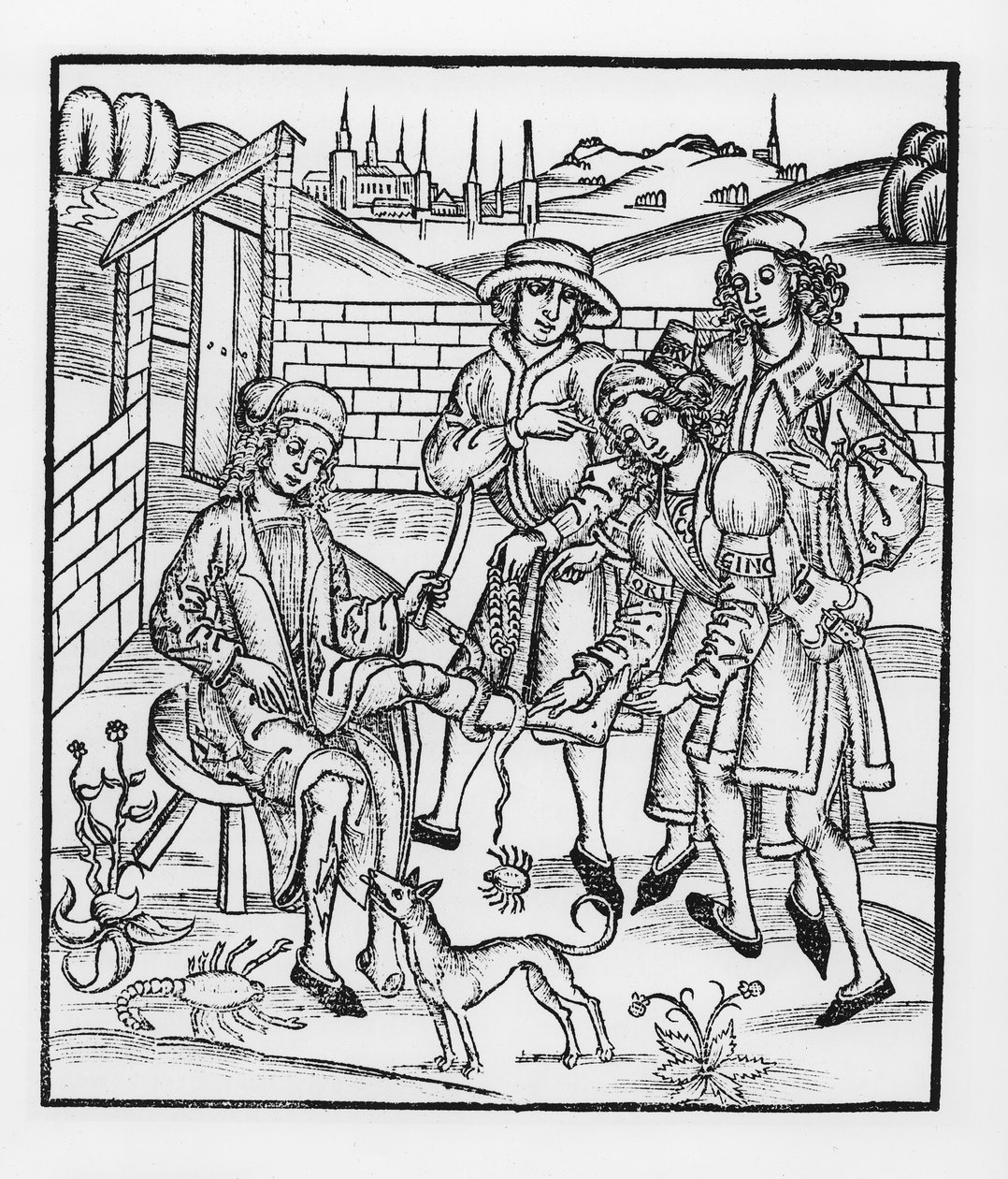 Kígyómarás gondozása, a „Das Buch der Cirugia” című kiadványból, Strasbourgban, 1497 alkotó: Hieronymus Brunschwig