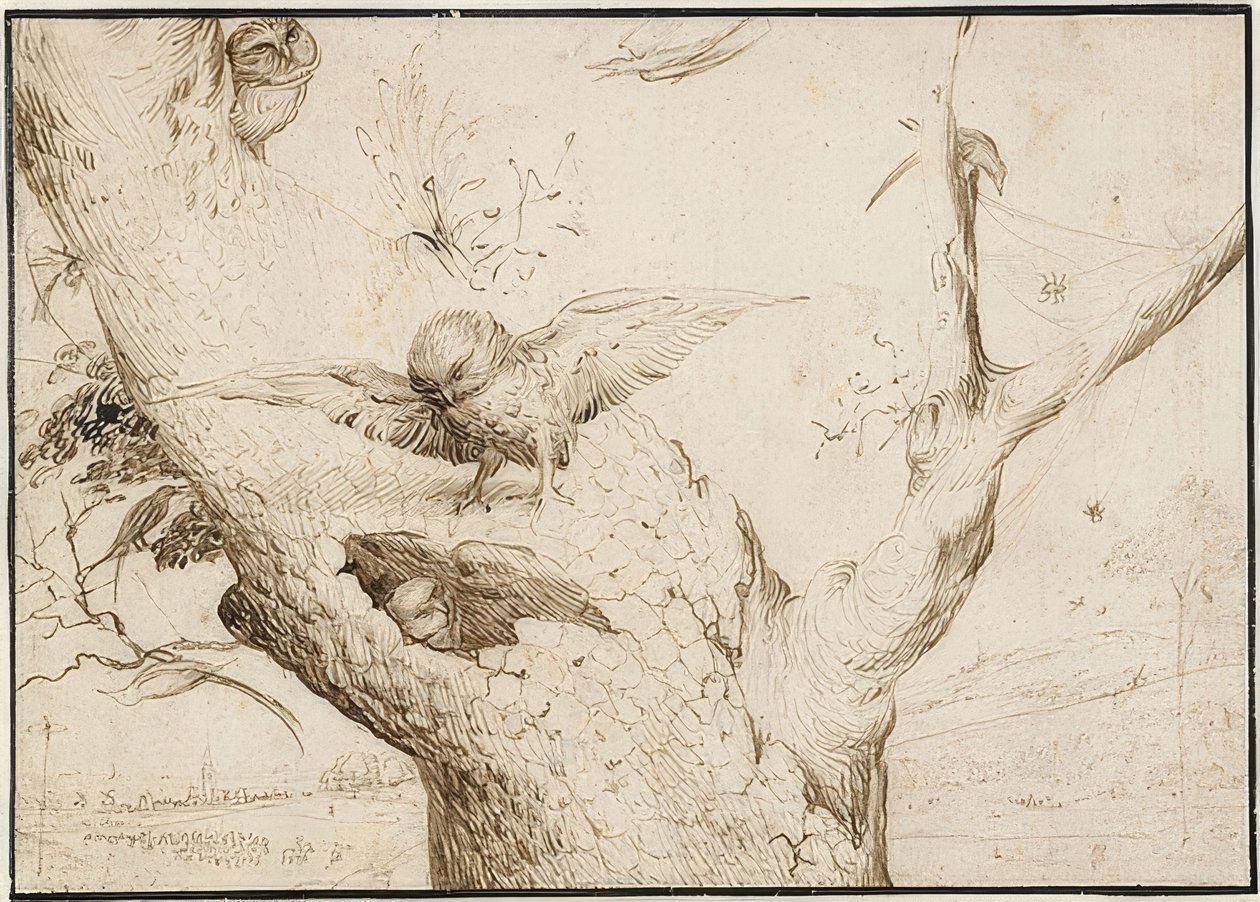 Eulennest. A 1505-10 alkotó: Hieronymus Bosch