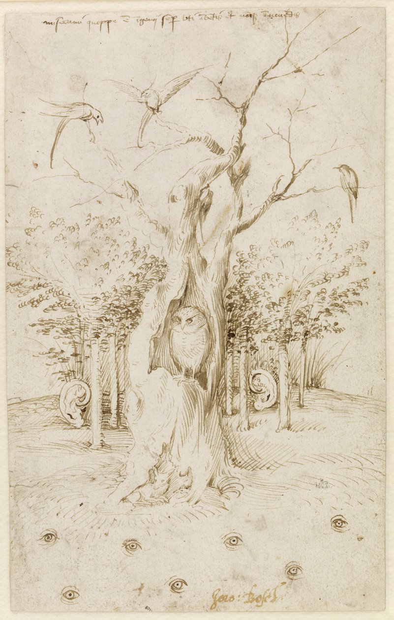 A fának vannak fülei, a mezőnek szemei vannak, Bosch, Hieronymus (1450-1516 körül). Toll, barna indiai tinta papíron, méret: 20,2x12,7, c. 1500-1515, Staatliche Museen, Berlin alkotó: Hieronymus Bosch