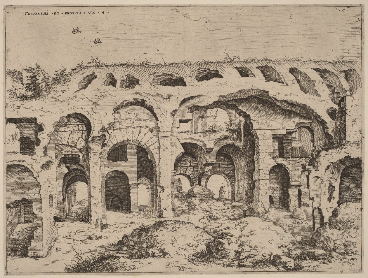 A Colosseum negyedik képe alkotó: Hieronymus Cock
