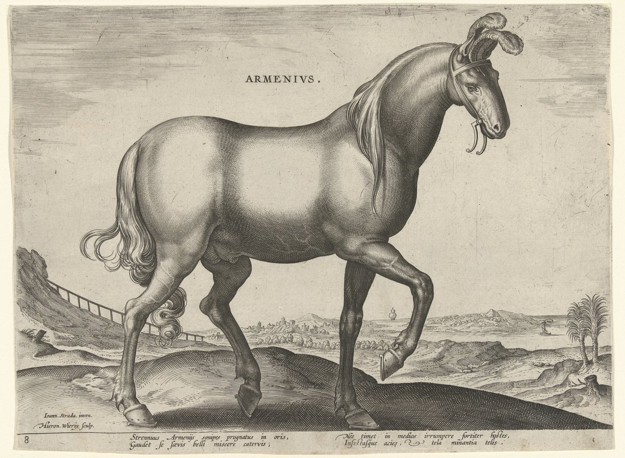 Ló Örményországból (Armenius) örmények (cím a tárgyon) Lófajták az osztrák Don Juan királyi istállójából (sorozat címe) Equile Ioannis Austriaci Caroli (sorozat címe) alkotó: Hieronymus Wierix