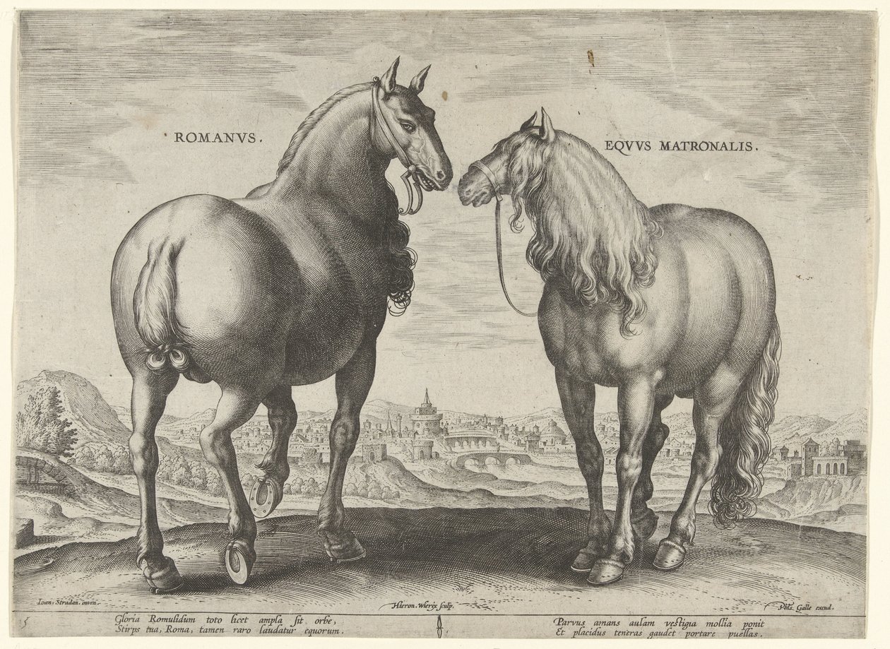 Ló Rómából és egy bérkanca Romanvs Eqvvs Matronalis (cím az objektumon) Lófajták az osztrák Don Juan királyi istállójából (sorozat címe) Equile Ioannis Austriaci Caroli (sorozat címe) alkotó: Hieronymus Wierix