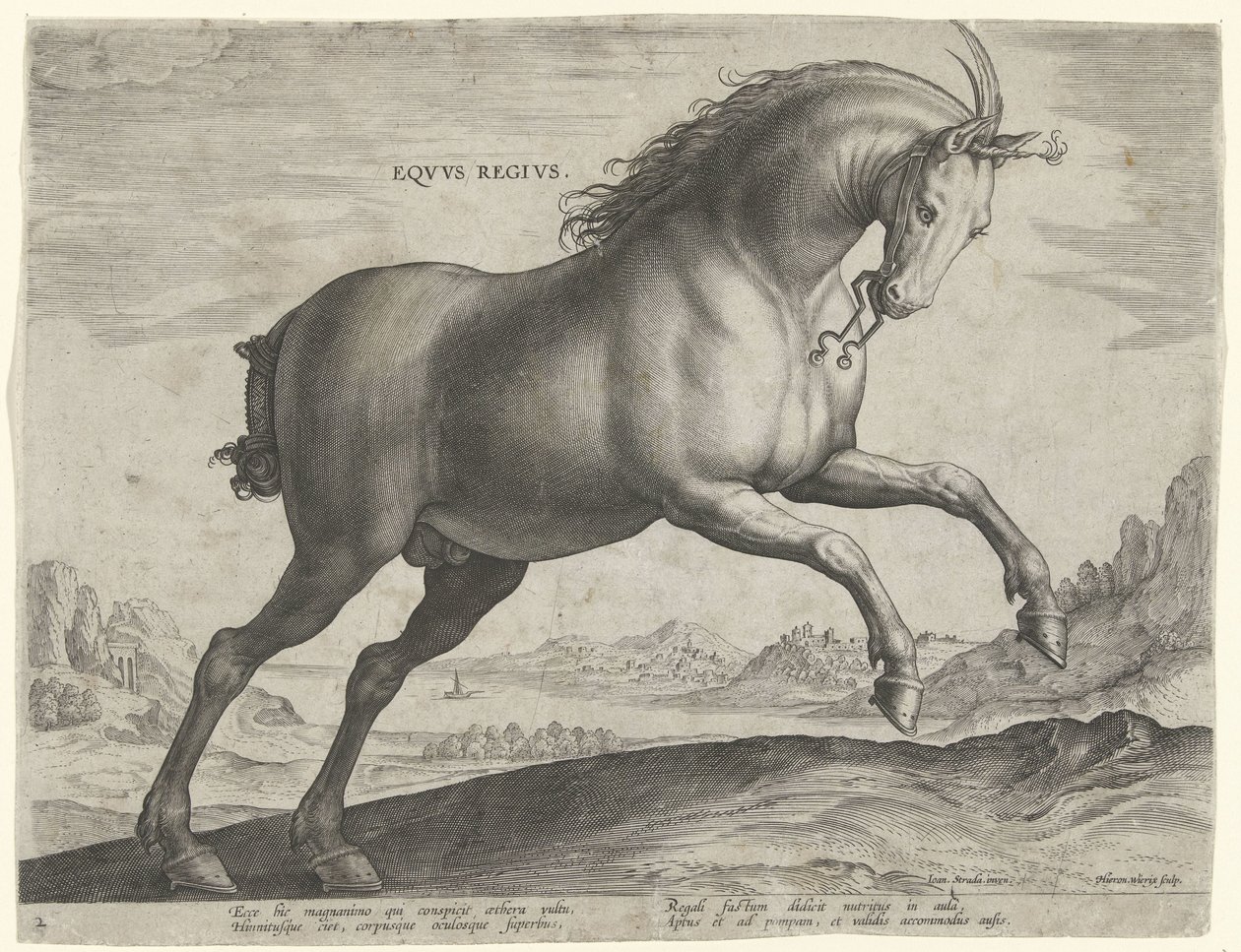 Equus Regius (királyi) fajtájú ló Eqvvs Regivs (cím az objektumon) Lófajták az osztrák Don Juan királyi istállójából (sorozat címe) Equile Ioannis Austriaci Caroli (sorozat címe) alkotó: Hieronymus Wierix
