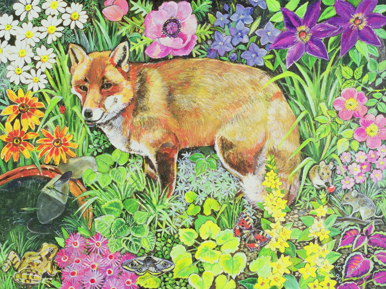 A Barnet Fox alkotó: Hilary Jones