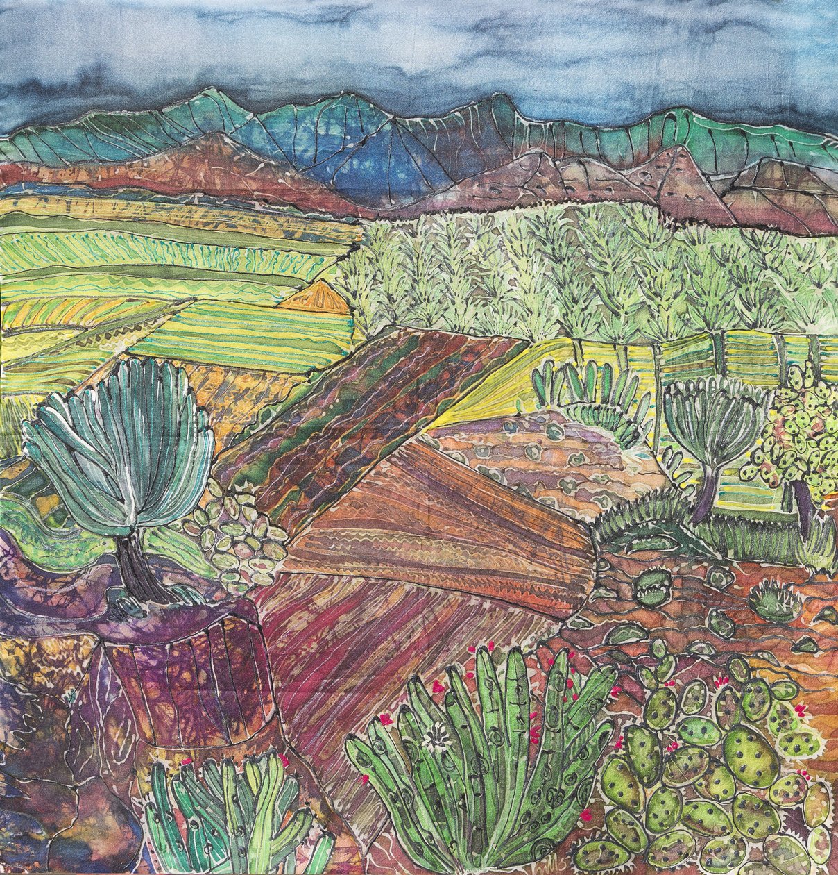 Oaxaca táj alkotó: Hilary Simon