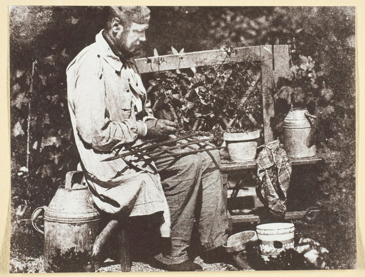 Bayard Jardinier alkotó: Hippolyte Bayard