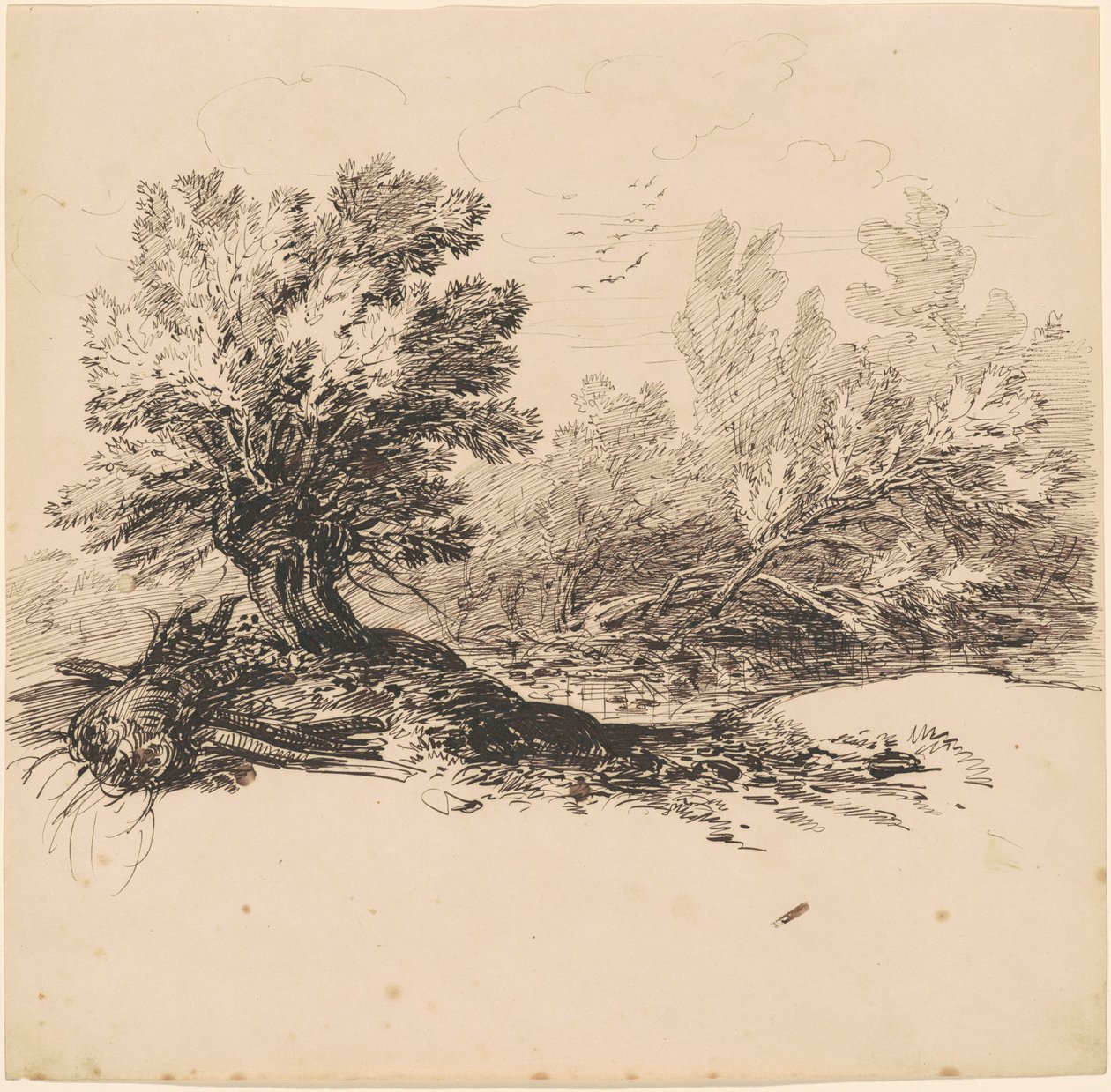 Pollard Willow a patak mellett alkotó: Hippolyte Lalaisse