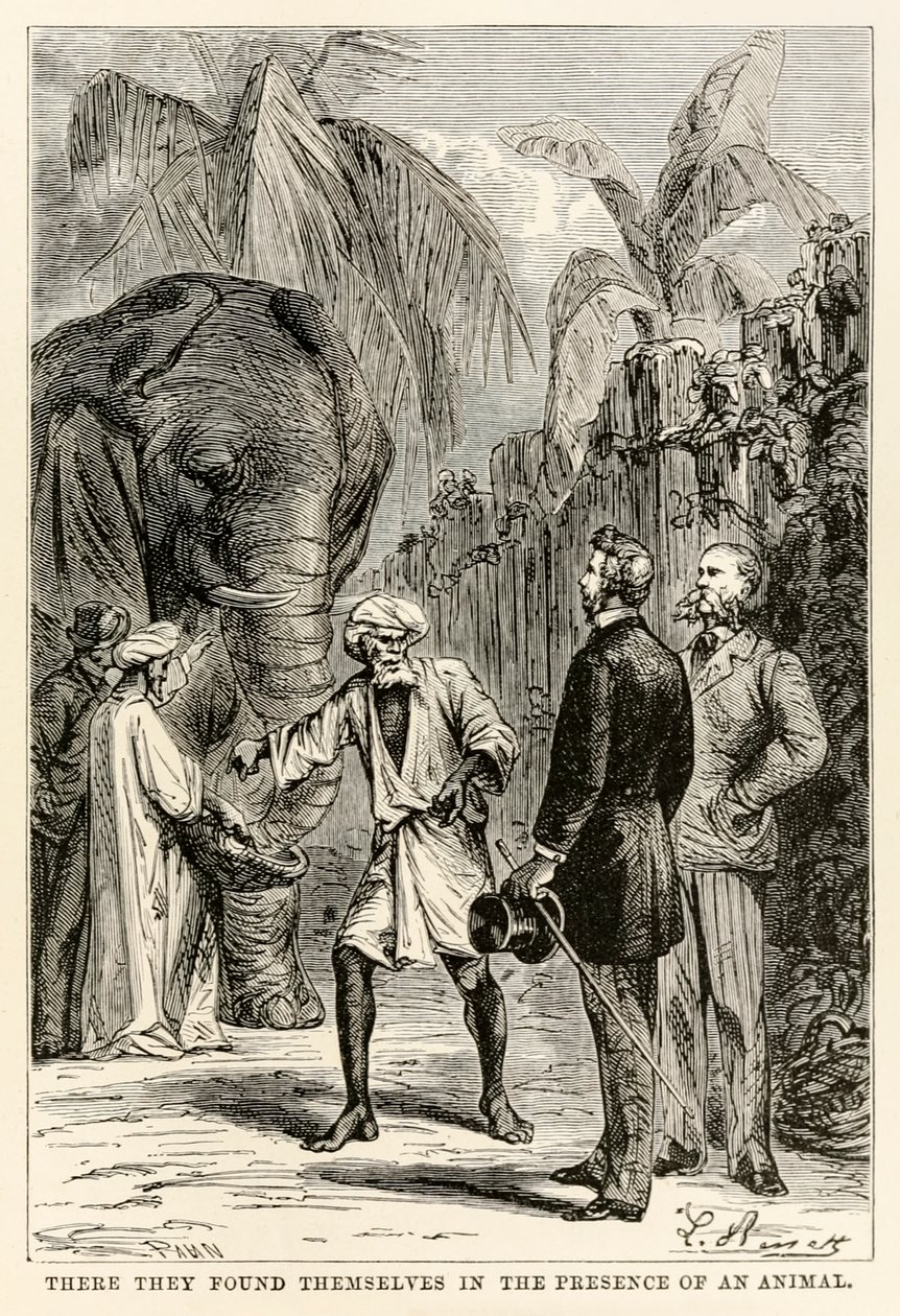 Ott egy állat jelenlétében találták magukat, Jules Verne (1828-1905) Nyolcvan nap alatt a világ körül című művéből, amelyet Adolphe François Pannemaker (1822-1900) metszett, 1873 alkotó: Hippolyte Leon after Benett