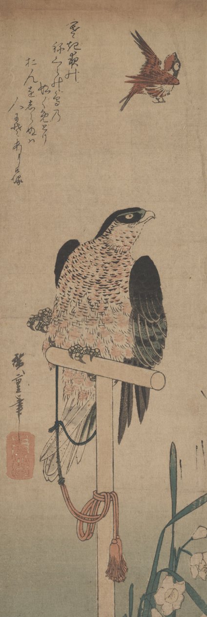Sólyom süllőn, verében és nárciszon alkotó: Hirokage Utagawa
