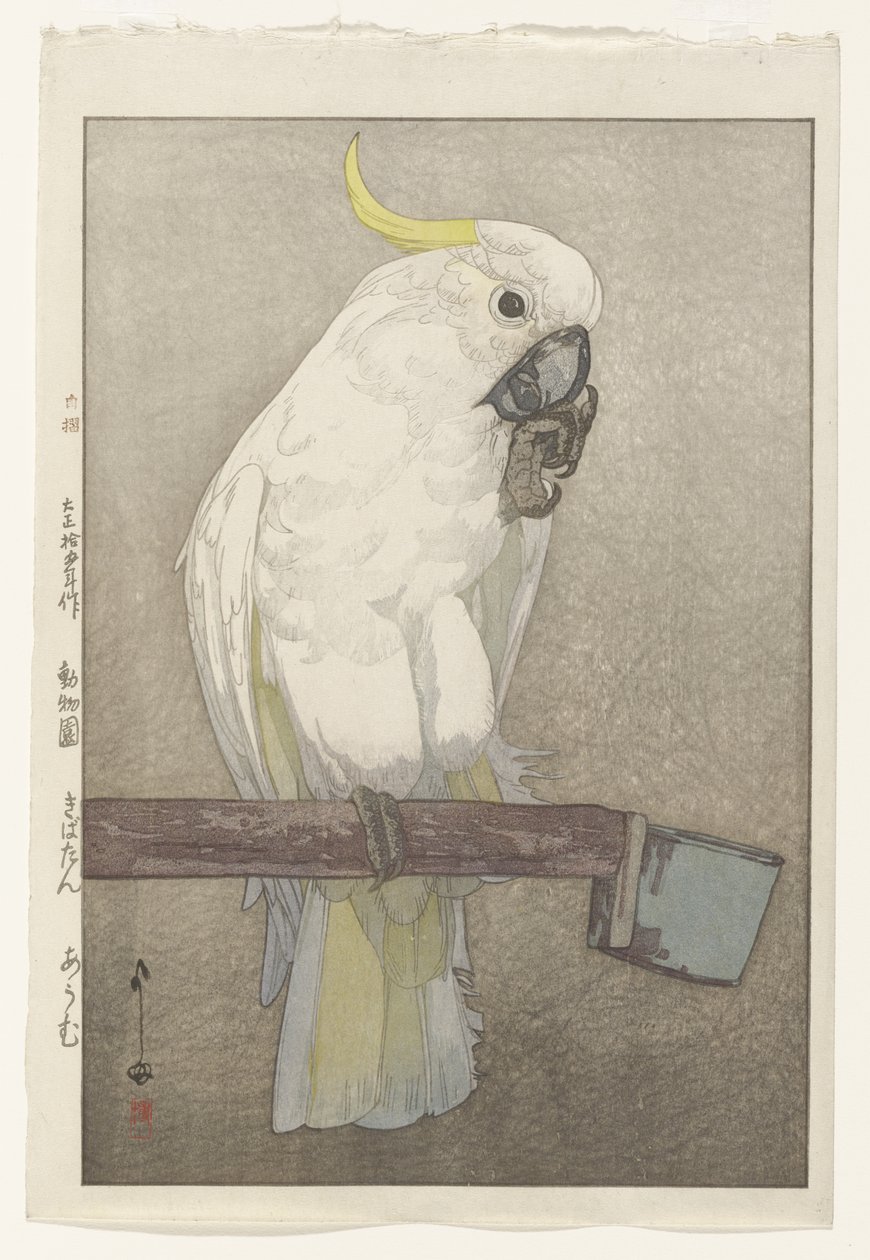 Kénes tarajos kakadu alkotó: Hiroshi Yoshida