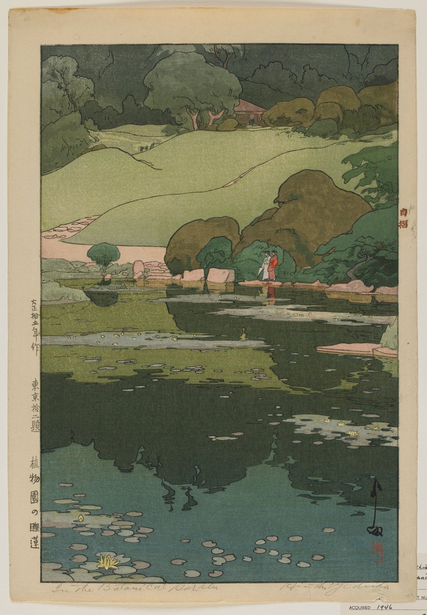 Tavirózsa a botanikus kertben, a tizenkét Tokiói jelenet sorozatból, Taisho korszak alkotó: Hiroshi Yoshida