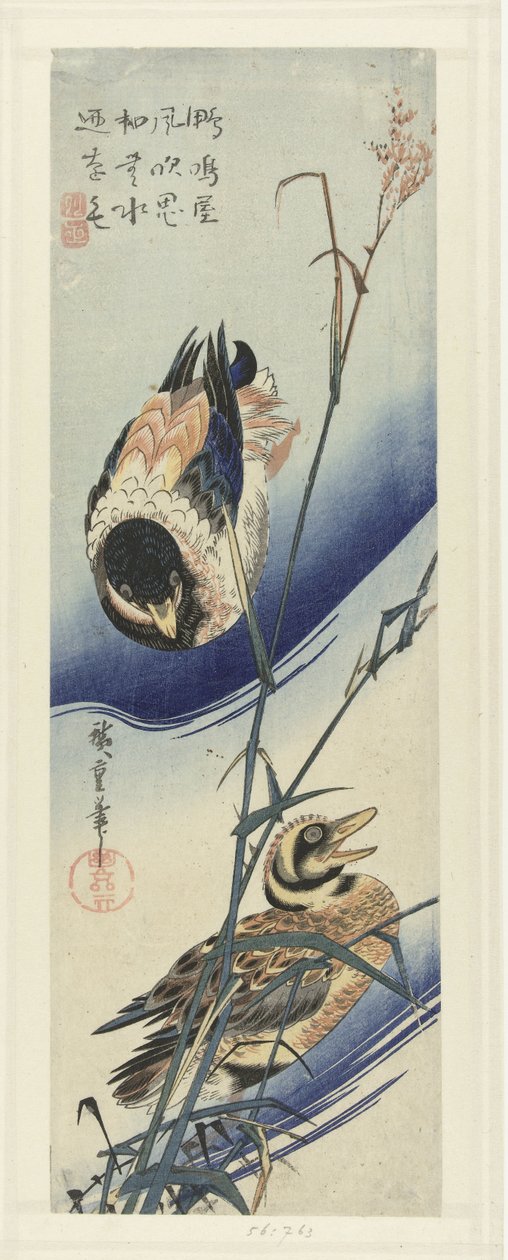 Kacsák nád közelében alkotó: Hiroshige (I) , Utagawa