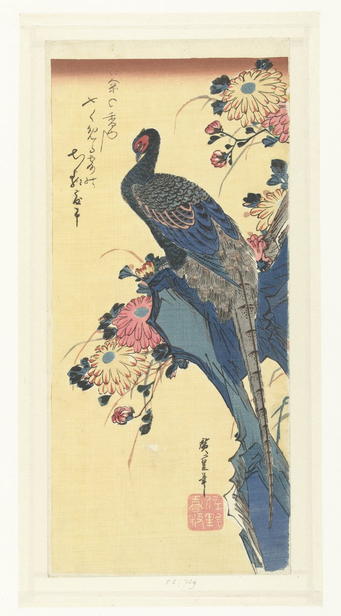 Fácán és krizantém alkotó: Hiroshige (I) , Utagawa
