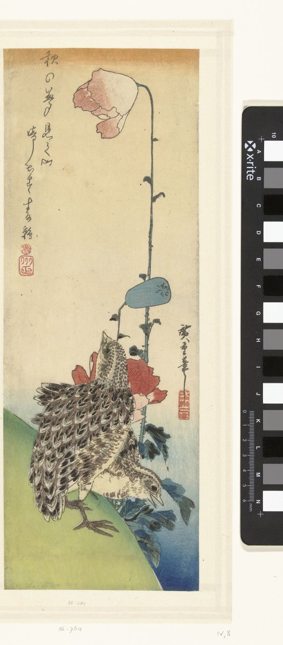 Fürj és mák alkotó: Hiroshige (I) , Utagawa