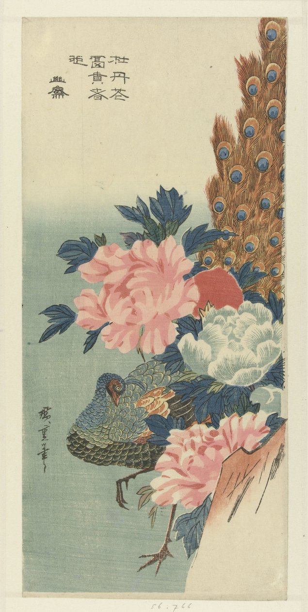 Páva és pünkösdi rózsa alkotó: Hiroshige (I) , Utagawa