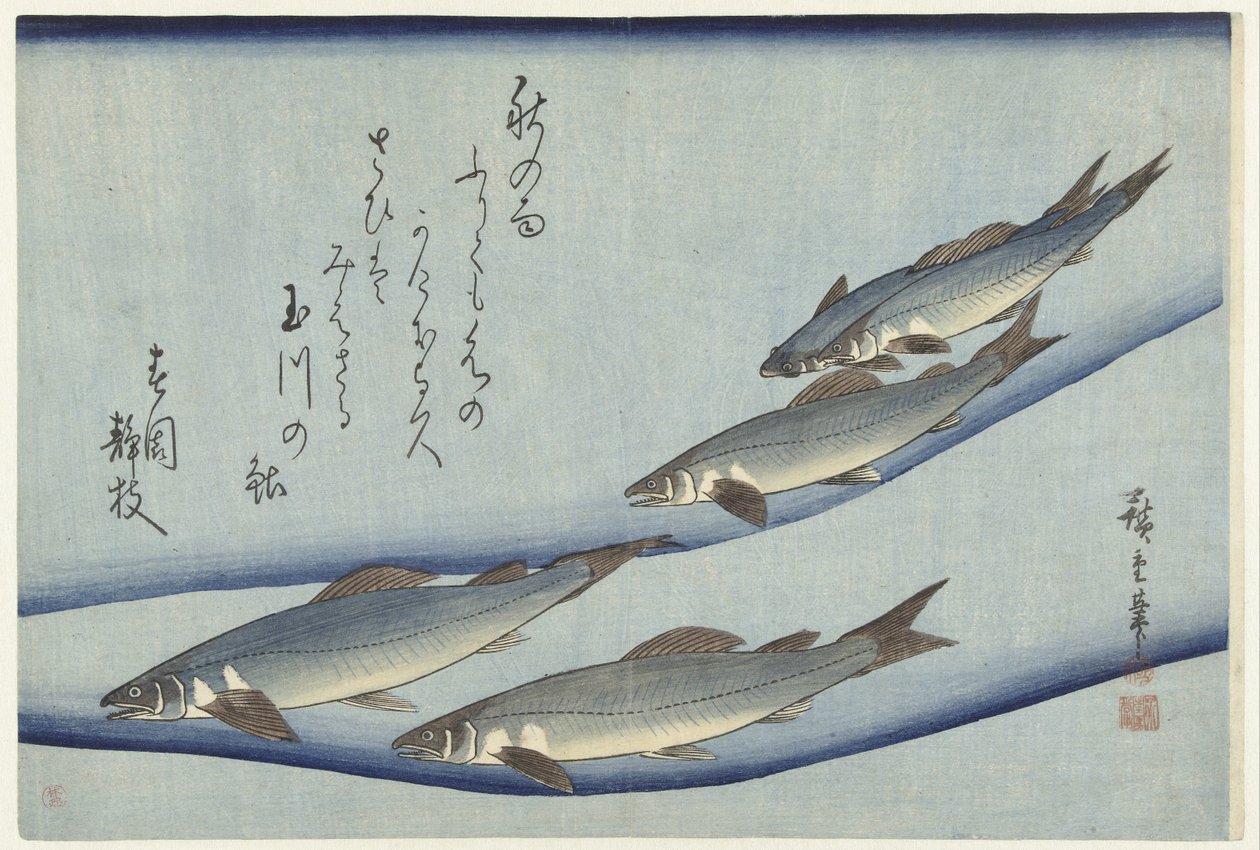 Pisztráng alkotó: Hiroshige (I) , Utagawa