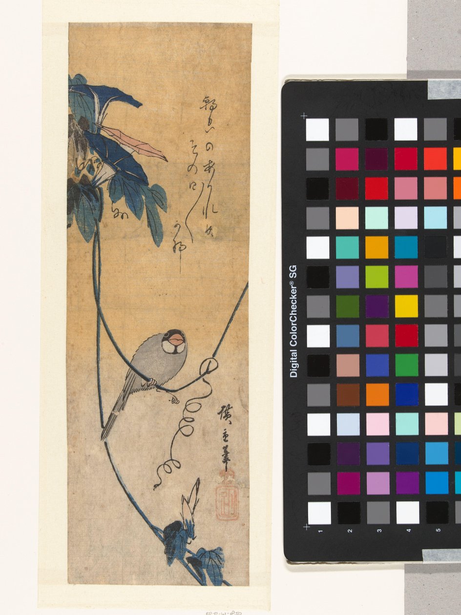 Madár és kék szálka alkotó: Hiroshige (I) , Utagawa