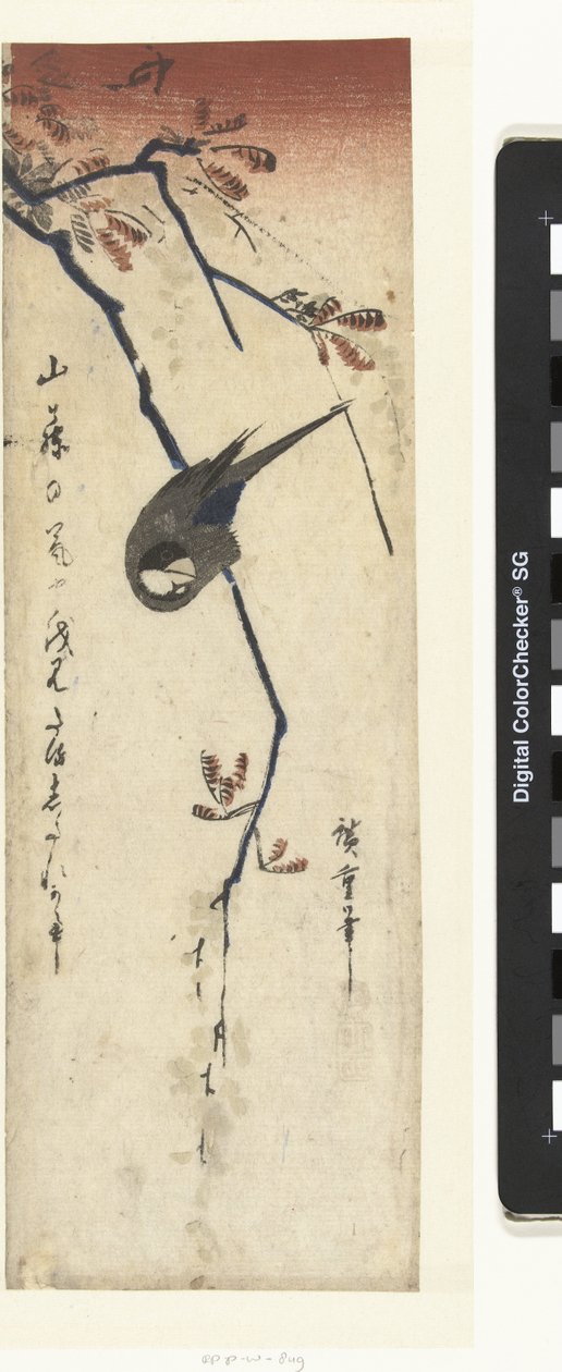 Madár és wisteria alkotó: Hiroshige (I) , Utagawa