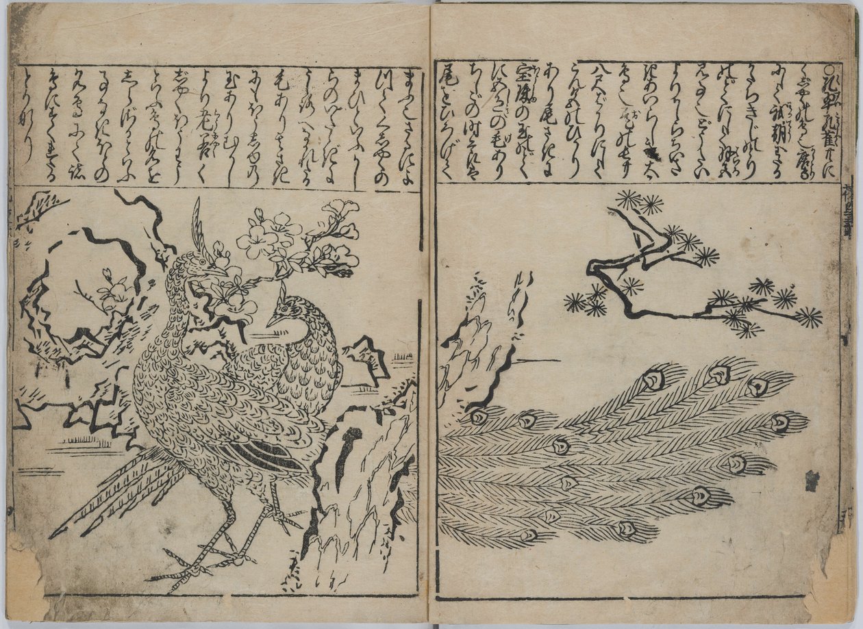 Virágok és madarak gyűjteménye (Kacho zukushi) alkotó: Hishikawa Moronobu